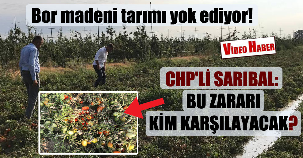 Bor madeni tarımı yok ediyor! CHP’li Sarıbal: Bu zararı kim karşılayacak?