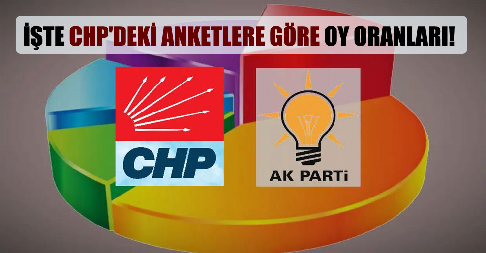 İşte CHP’deki anketlere göre oy oranları!