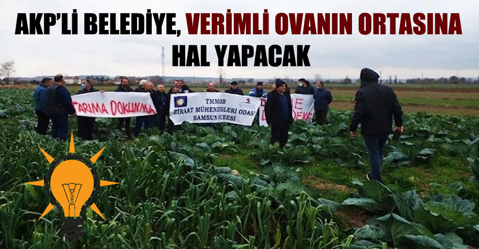AKP’li belediye, verimli ovanın ortasına hal yapacak!