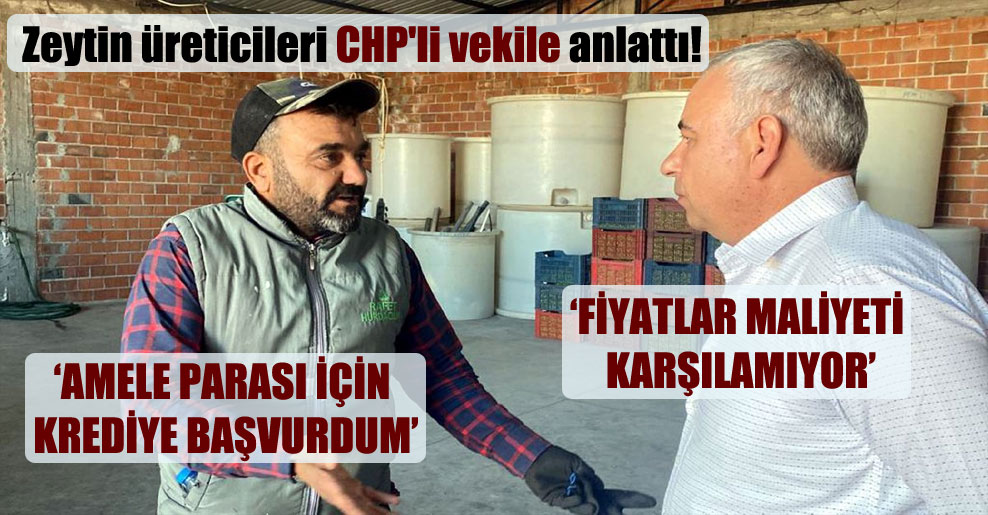 Zeytin üreticileri CHP’li vekile anlattı!