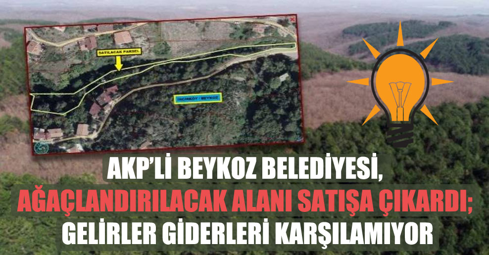 AKP’li Beykoz Belediyesi, ağaçlandırılacak alanı satışa çıkardı; Gelirler giderleri karşılamıyor