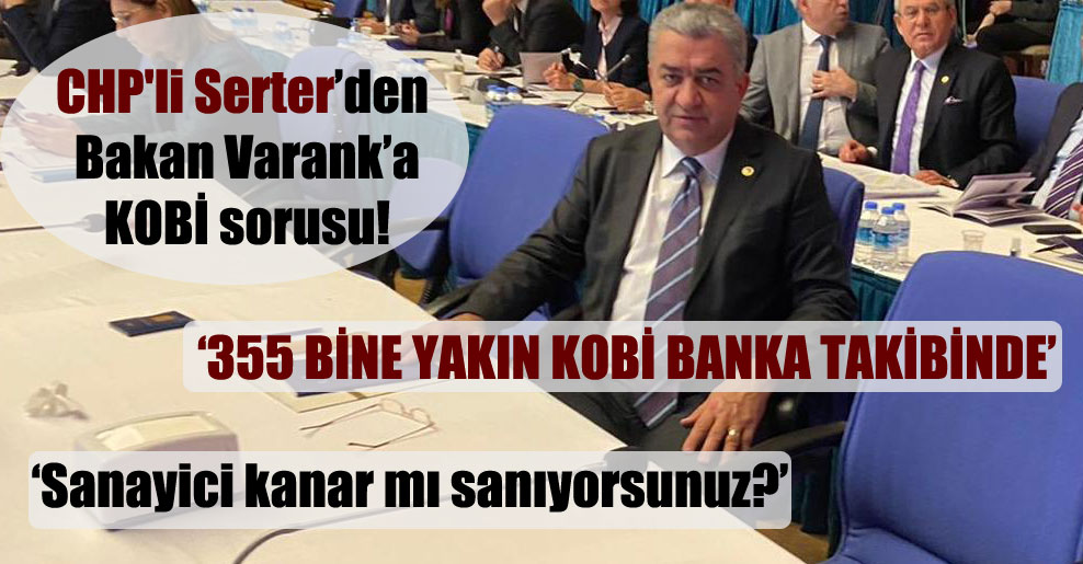 CHP’li Serter’den Bakan Varank’a KOBİ sorusu!