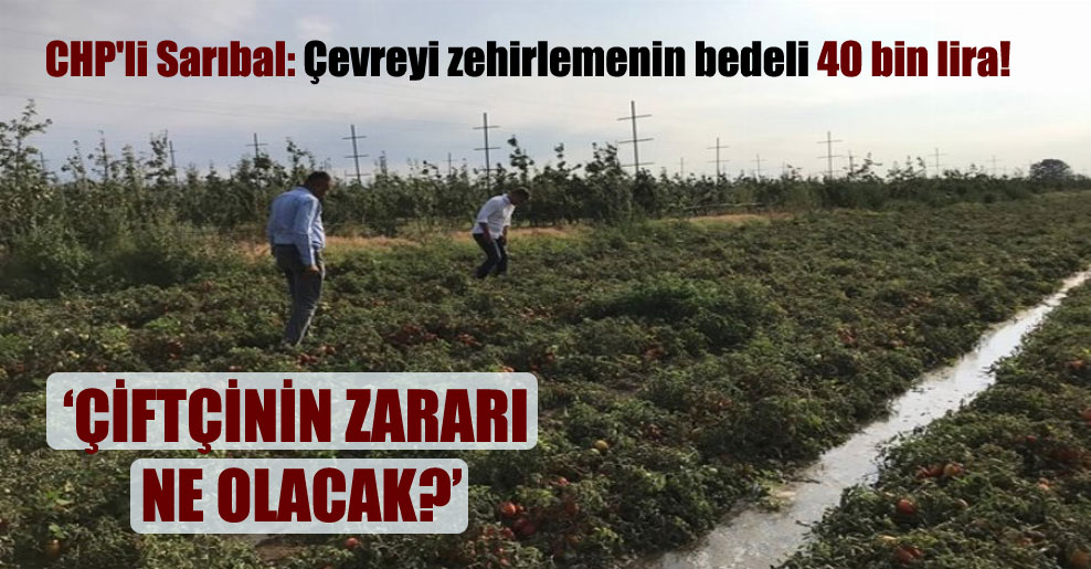 CHP’li Sarıbal: Çevreyi zehirlemenin bedeli 40 bin lira!