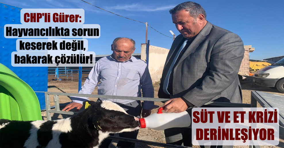 CHP’li Gürer: Hayvancılıkta sorun keserek değil, bakarak çözülür!