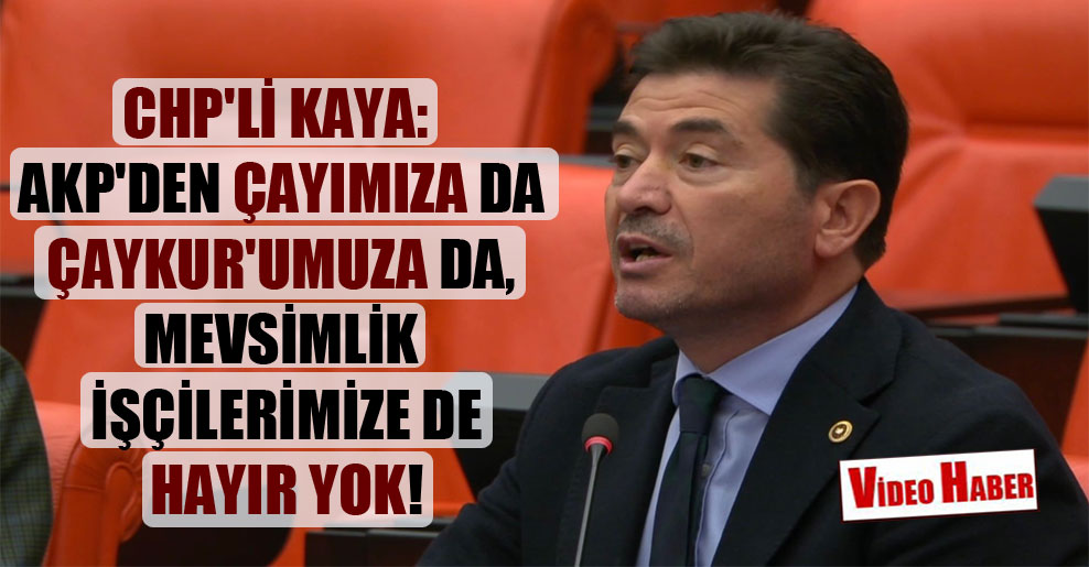 CHP’li Kaya: AKP’den çayımıza da ÇAYKUR’umuza da, mevsimlik işçilerimize de hayır yok!