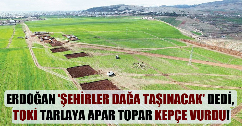Erdoğan ‘Şehirler dağa taşınacak’ dedi, TOKİ tarlaya apar topar kepçe vurdu!