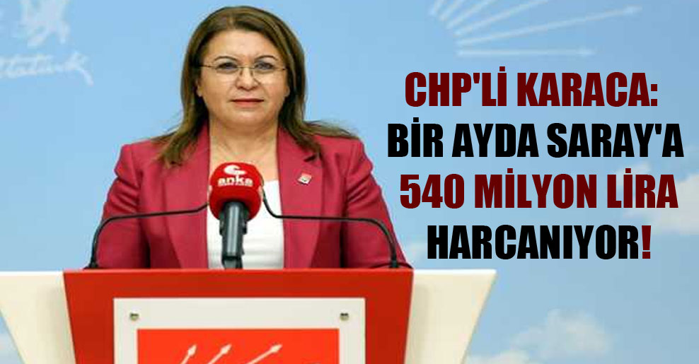 CHP’li Karaca: Bir ayda Saray’a 540 milyon Lira harcanıyor!