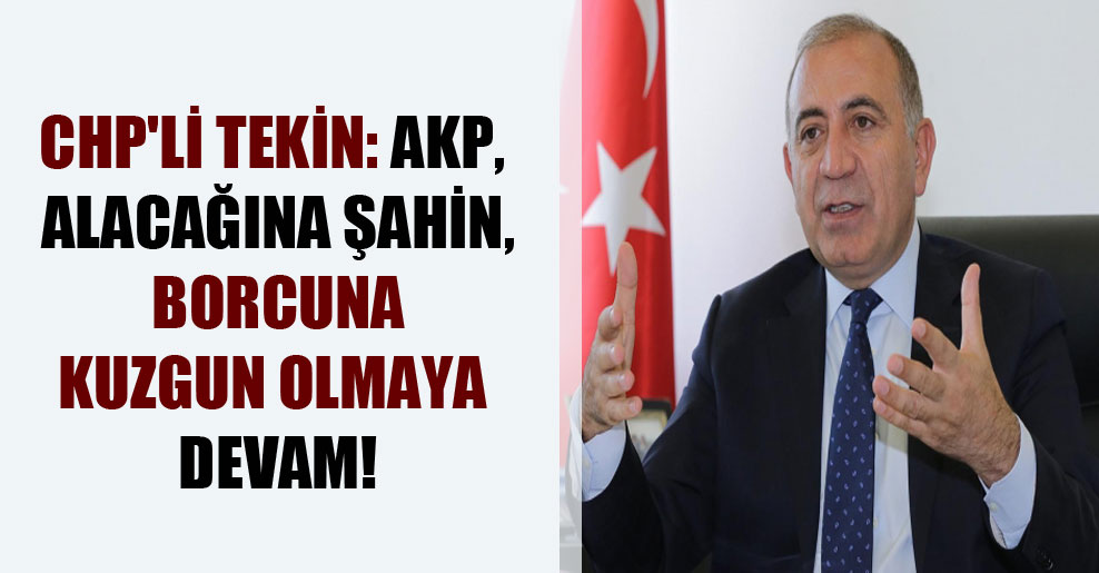 CHP’li Tekin: AKP, alacağına şahin, borcuna kuzgun olmaya devam!