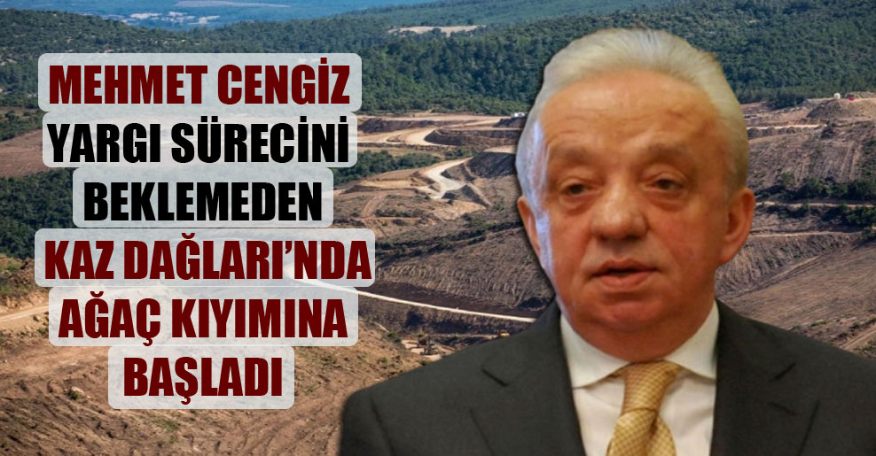 Mehmet Cengiz yargı sürecini beklemeden Kaz Dağları’nda ağaç kıyımına başladı