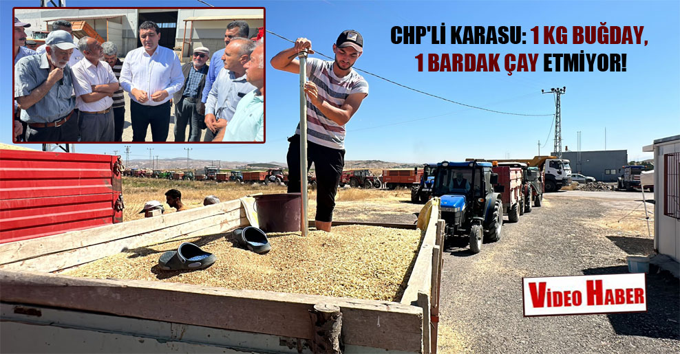 CHP’li Karasu: 1 kg buğday, 1 bardak çay etmiyor!