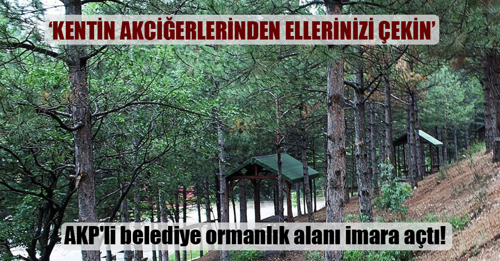 AKP’li belediye ormanlık alanı imara açtı!