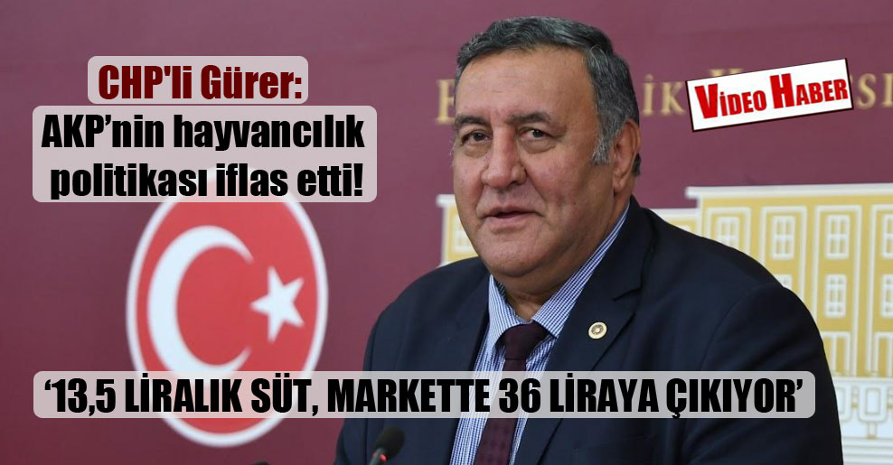 CHP’li Gürer: AKP’nin hayvancılık politikası iflas etti!