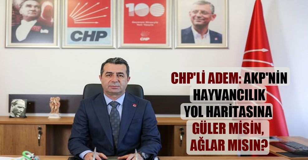 CHP’li Adem: AKP’nin hayvancılık yol haritasına güler misin, ağlar mısın?