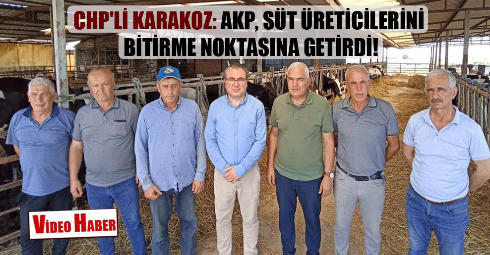 CHP’li Karakoz: AKP, süt üreticilerini bitirme noktasına getirdi!