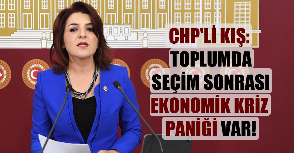 CHP’li Kış: Toplumda seçim sonrası ekonomik kriz paniği var!