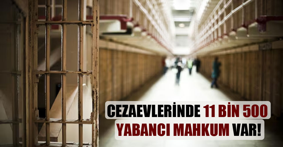 Cezaevlerinde 11 bin 500 yabancı mahkum var!