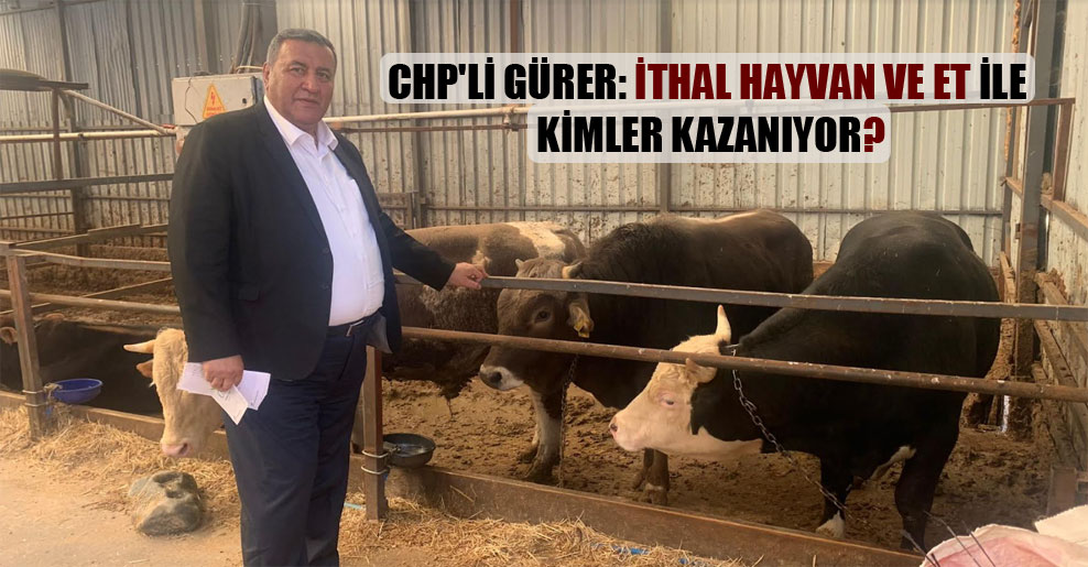 CHP’li Gürer: İthal hayvan ve et ile kimler kazanıyor?