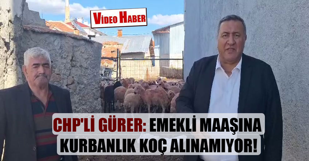 CHP’li Gürer: Emekli maaşına kurbanlık koç alınamıyor!