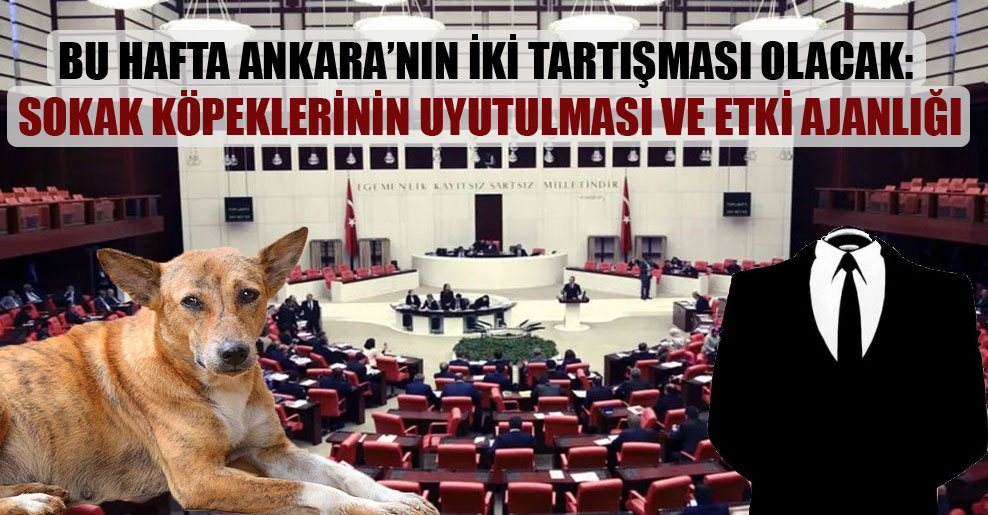 Bu hafta Ankara’nın iki tartışması olacak: Sokak köpeklerinin uyutulması ve etki ajanlığı