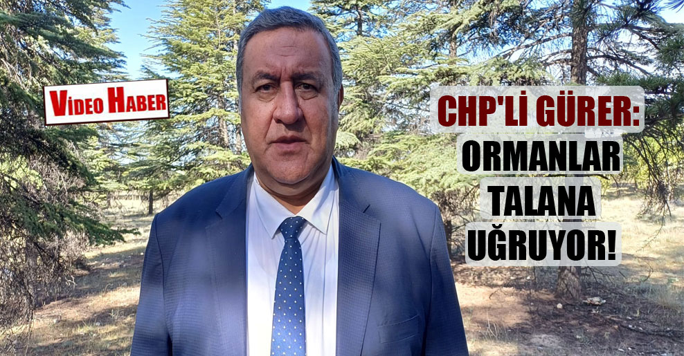CHP’li Gürer: Ormanlar talana uğruyor!
