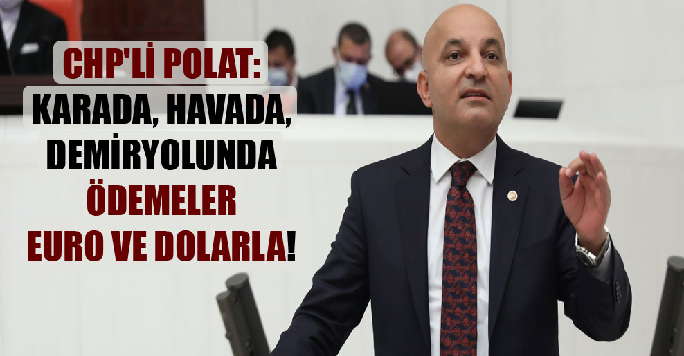 CHP’li Polat: Karada, havada, demiryolunda ödemeler Euro ve Dolarla!
