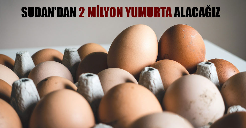 Sudan’dan 2 milyon yumurta alacağız