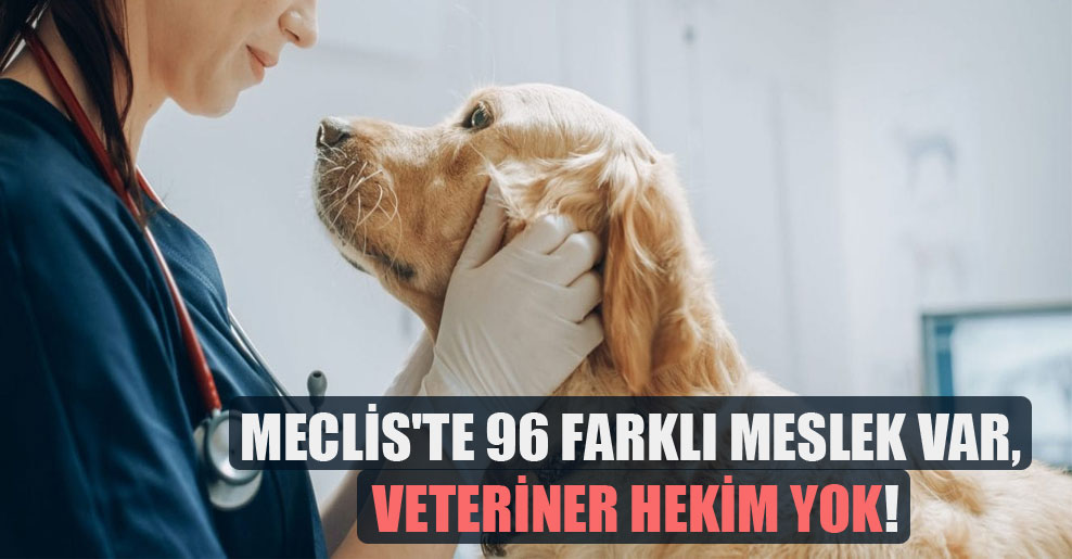 Meclis’te 96 farklı meslek var, veteriner hekim yok!