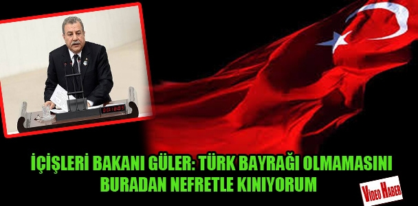 Güler: 'Diyarbakır'da Türk bayrağı yoktu, nefretle kınıyorum'