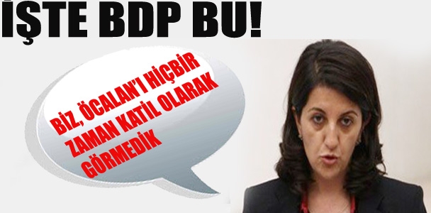 BDP'li Buldan; "Biz Öcalan'ı hiçbir zaman katil olarak görmedik"