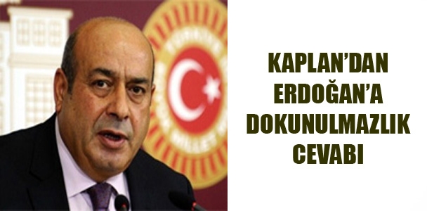 Kaplan'dan Erdoğan'a dokunulmazlık cevabı
