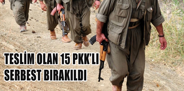Teslim olan 15 PKK'lı serbest kaldı