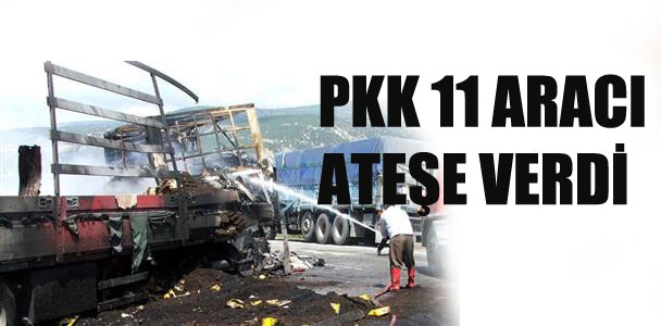PKK'lılar 11 aracı yaktı