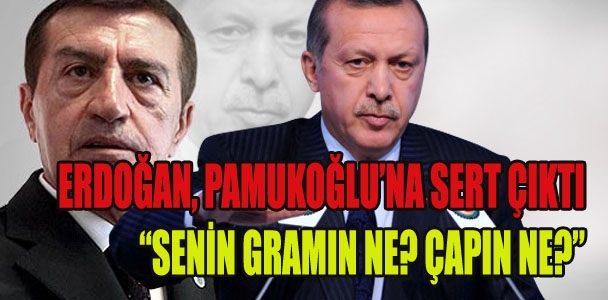 Erdoğan, Pamukoğlu'na sert çıktı; "Senin çapın ne?"