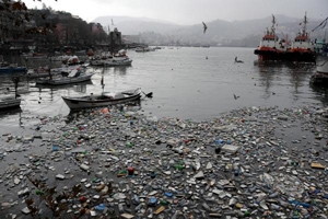 Zonguldak Limanı'na Kirlilik Tepkisi