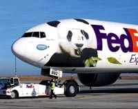 Pandalara Özel Uçak