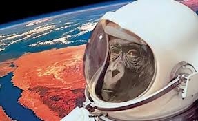 NASA, İran'ın maymunuyla dalga geçti