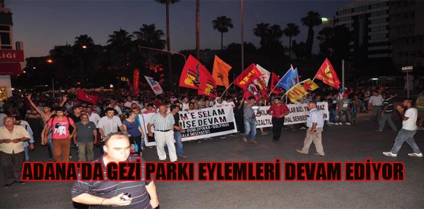 Adana'da Gezi Parkı eylemleri