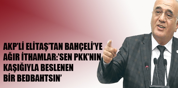AKP'li Elitaş'tan Bahçeli'ye ağır ithamlar:'Sen,PKK'nın kaşığıyla beslenen bir bedbahtsın'