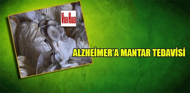 Alzheimer'a mantar tedavisi