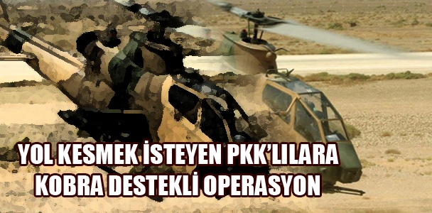 Yol kesmek isteyen PKK'lılara kobra destekli operasyon