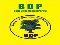BDP heyeti Ergin'le görüşecek