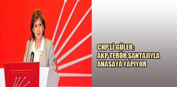 CHP'li Güler: AKP terör şantajıyla anayasa yapıyor