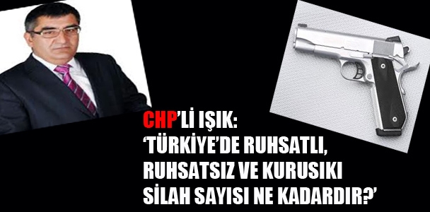 CHP'li Işık: Türkiye'de ruhsatlı, ruhsatsız ve kurusıkı silah sayısı ne kadardır?