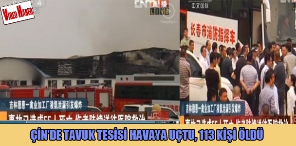 Çin'de tavuk tesisi havaya uçtu, 113 kişi öldü