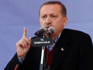 Erdoğan'dan böcek açıklaması