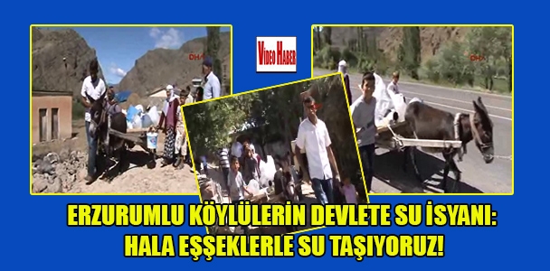 Erzurumlu köylülerin devlete su isyanı: Hala eşşeklerle su taşıyoruz!