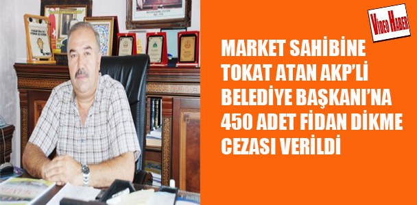 Market sahibine tokat atan,AKP'li Belediye Başkanı'na 450 adet fidan dikme cezası verildi