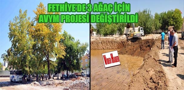 Fethiye'de 3 ağaç için AVYM projesi değiştirildi