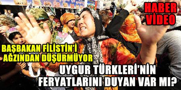 Uygur Türkleri'nin Feryadını Duyalım