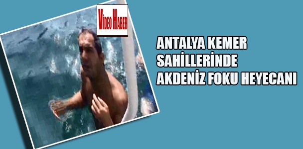 Antalya Kemer sahillerinde Akdeniz Foku heyecanı